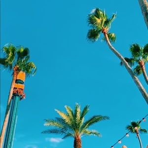 Meet your Posher, Cynthia